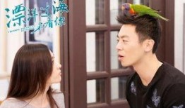 飘洋过海来看你电视剧在线观看,浪漫邂逅等你来见证